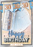 30.Geburtstag - Great Cards - Soundkarte und Lichtkarte im Format 21,0 x 29,7 cm - "30er Geburtstag" - Akkordeon