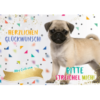 Geburtstag - Great Cards - Soundkarte und Lichtkarte im...