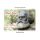 Karl Marx Magnet Büste Geburtsdaten - Trier an der Mosel Magnet