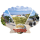 Trassenheide Magnet Muschelform 3 Fotos Ostseebad Usedom