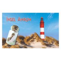 Insel Amrum Magnet mit kleiner Flasche Leuchtturm...