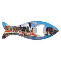 Wismar Magnet Flaschenöffner Hansestadt Ostsee
