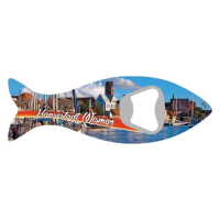 Wismar Magnet Flaschenöffner Hansestadt Ostsee