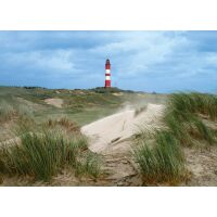 Insel Amrum Tischset Unterlage 44x32 cm Strandmotiv 6...