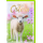 Ostern Grußkarte mit Umschlag Lamm auf Wiese Frohe Ostern