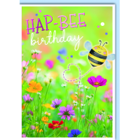 Geburtstag Glückwunschkarte mit Umschlag HAP-BEE...