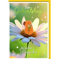 Geburtstag Glückwunschkarte mit Umschlag Wombats auf...