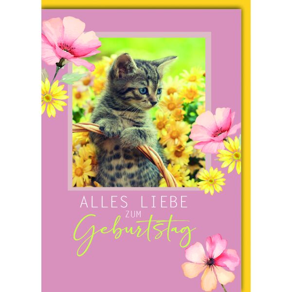 Geburtstag Glückwunschkarte mit Umschlag Kätzchen Katze in gelben Blumen alles Liebe zum Geburtstag