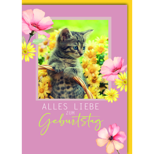 Geburtstag Glückwunschkarte mit Umschlag Kätzchen Katze in gelben Blumen alles Liebe zum Geburtstag