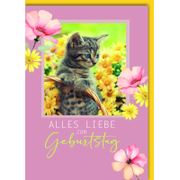 Geburtstag Glückwunschkarte mit Umschlag...