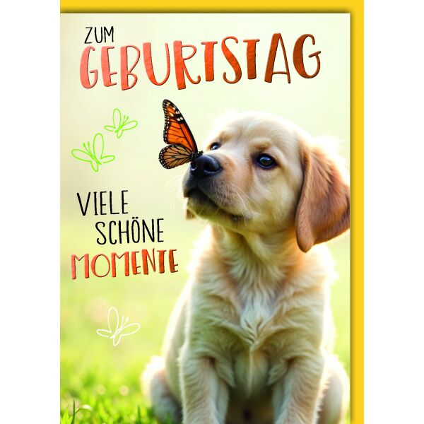 Geburtstag Glückwunschkarte mit Umschlag Welpe Hund mit Schmetterling viele schöne Momente