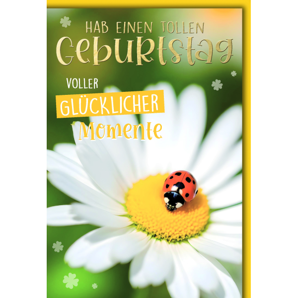 Geburtstag Glückwunschkarte mit Umschlag Blüte mit Glückskäfer Tag voller glücklicher Momente Margerite