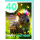 40. Geburtstag Glückwunschkarte mit Umschlag Wombats mit Regenbogen Irokesen Happy Birthday bisschen verrückt