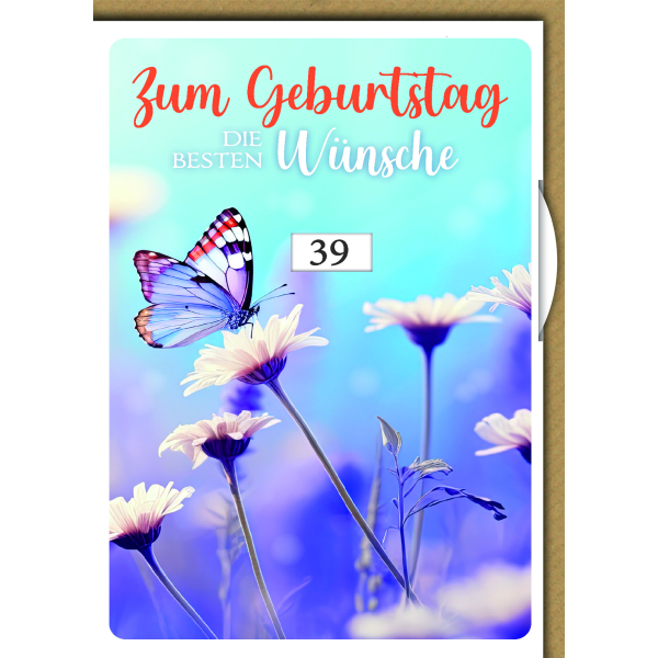 Zahlengeburtstag Drehzahl Glückwunschkarte mit Umschlag Schmetterling auf Magarite die besten Wünsche