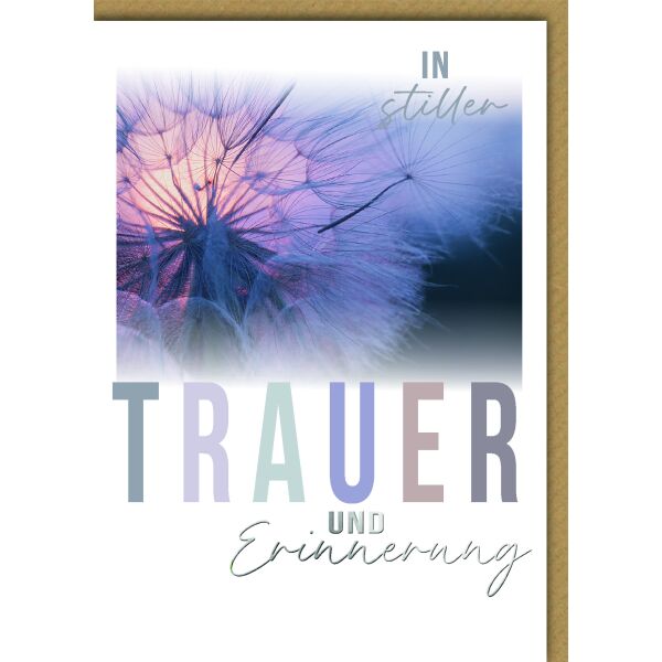 Trauer Kondolenz Beileidskarte mit Umschlag In stiller Trauer und Erinnerung Pusteblume