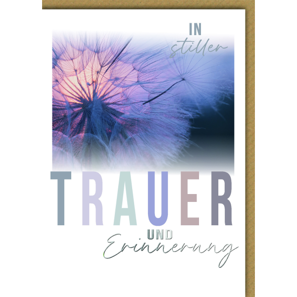 Trauer Kondolenz Beileidskarte mit Umschlag In stiller Trauer und Erinnerung Pusteblume