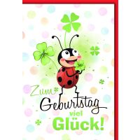 Geburtstag Glückwunschkarte mit Umschlag...
