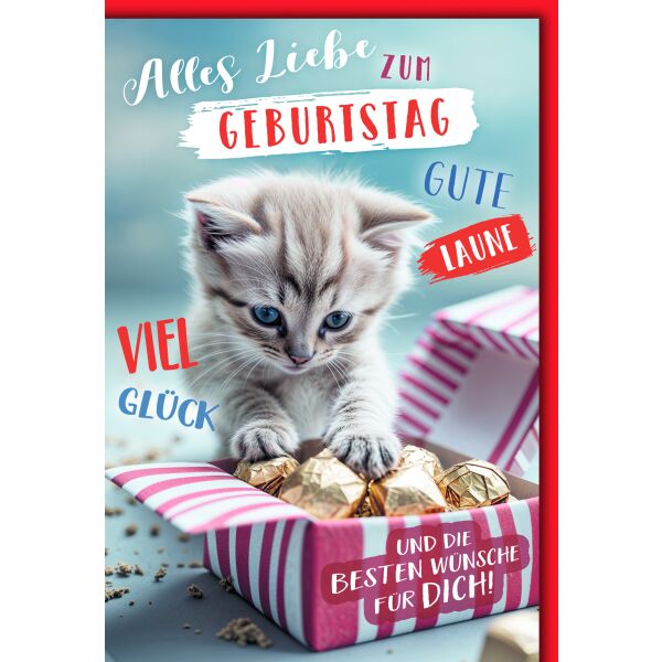 Geburtstag Glückwunschkarte mit Umschlag Katzemit Geschenk beste Wünsche gute Laune Glück