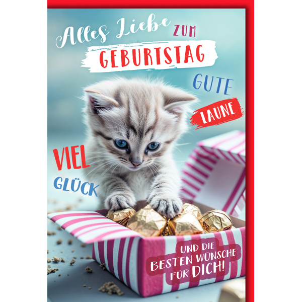 Geburtstag Glückwunschkarte mit Umschlag Katzemit Geschenk beste Wünsche gute Laune Glück
