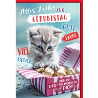 Geburtstag Glückwunschkarte mit Umschlag Katzemit...