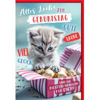 Geburtstag Glückwunschkarte mit Umschlag Katzemit...