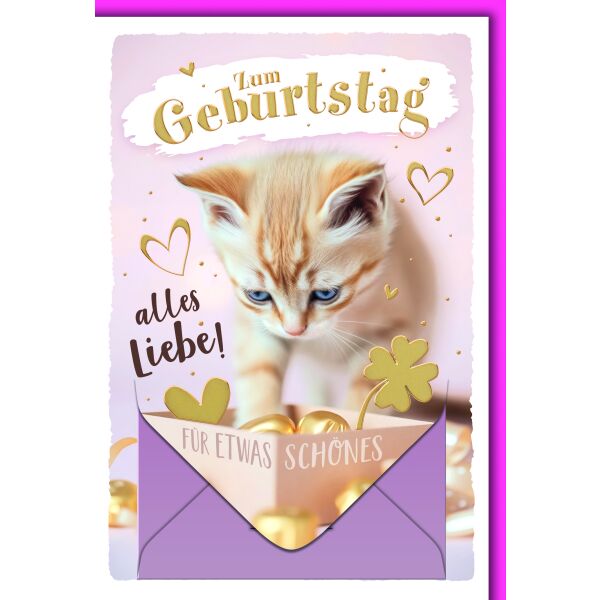 Geburtstag Geldgeschenkarte Katze mit Geldkuvert und Umschlag Geldkarte für etwas Schönes