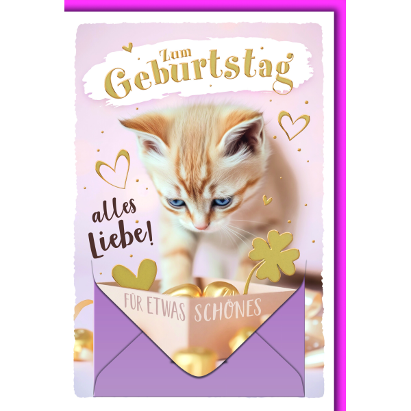 Geburtstag Geldgeschenkarte Katze mit Geldkuvert und Umschlag Geldkarte für etwas Schönes
