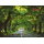 Insel Rügen Magnet Foto Allee Ostseeinsel