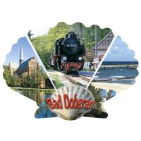 Bad Doberan Magnet Muschelform 3 Bilder Heilbad