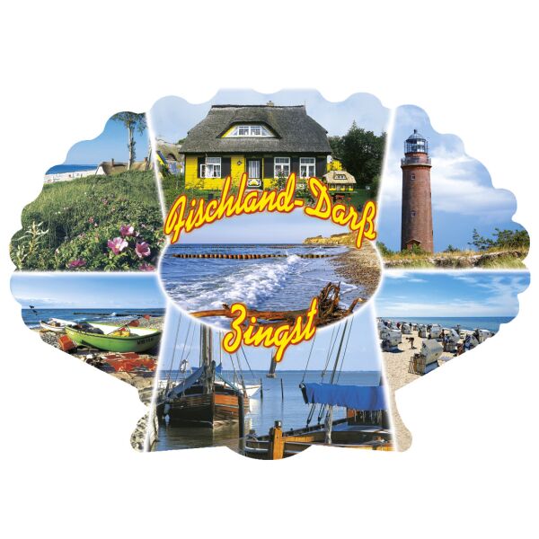 Fischland-Darß-Zingst Magnet Muschelform 6 Fotos