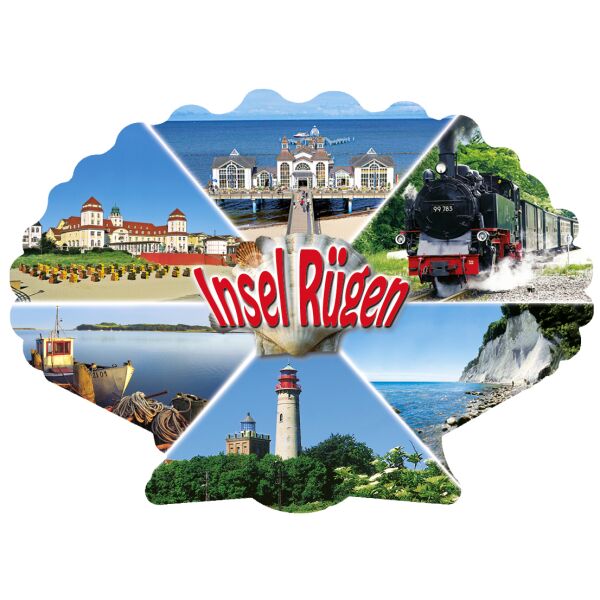 Insel Rügen Magnet Muschel 6 Fotomotive Ostseeinsel