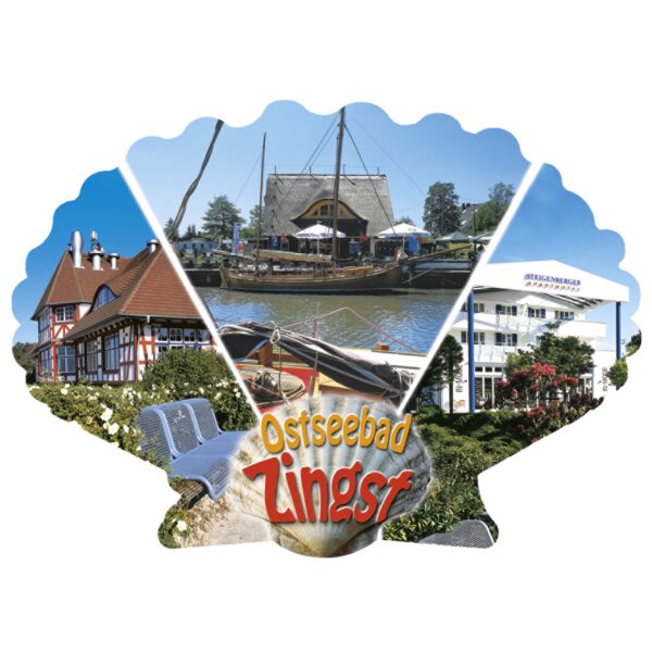 Zingst Magnet Muschelform Ostseebad 3 Fotomotive