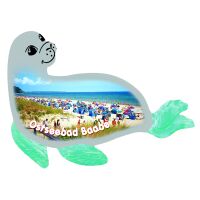 Baabe auf Rügen Magnet Seehund Ostseebad Strandmotiv