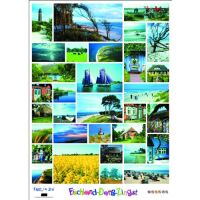 Fischland-Darß-Zingst Poster 50x70cm viele Bilder