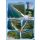 Fischland-Darß-Zingst Poster 50x70cm Luftaufnahme