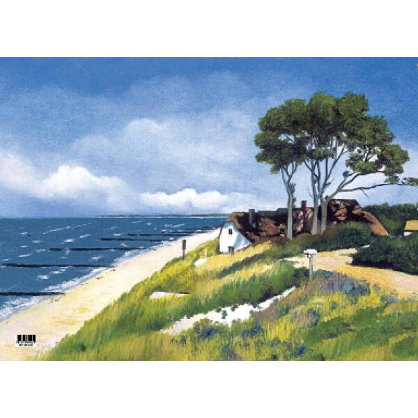 Fischland-Darß-Zingst Tischset Unterlage 44x32cm gemalte Küstenlandschaft