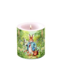 Ostern Kerze Ø 7,5cm Höhe 9 cm Herr Hase...