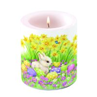 Ostern Kerze Ø 10cm Höhe 10 cm Hase...