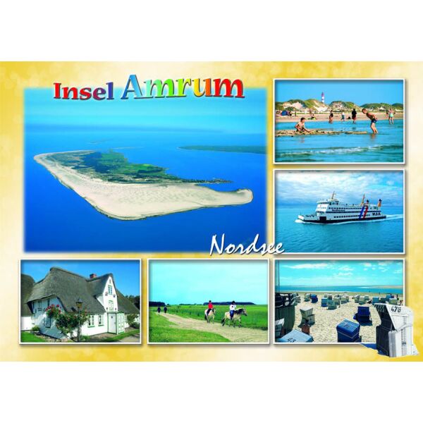 Insel Amrum Postkarte Ansichtskarte Nordsee Pferde Fähre Strand