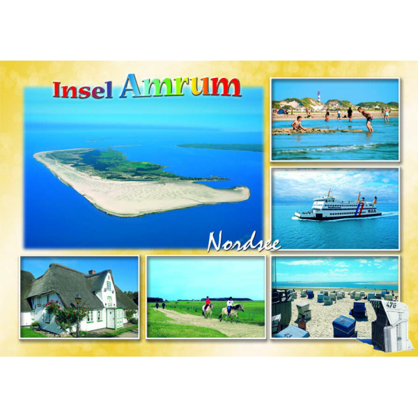 Insel Amrum Postkarte Ansichtskarte Nordsee Pferde Fähre Strand