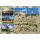 Insel Amrum Postkarte Ansichtskarte Maritime Grüße Amrum