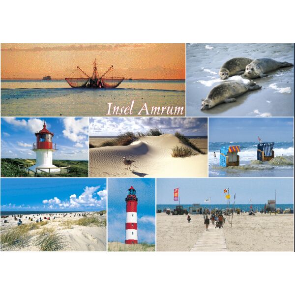 Insel Amrum Postkarte Ansichtskarte Strand Robben Leuchtturm