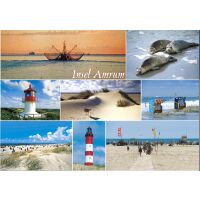Insel Amrum Postkarte Ansichtskarte Strand Robben Leuchtturm