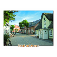 Insel Amrum Postkarte Ansichtskarte Nebel auf Amrum...