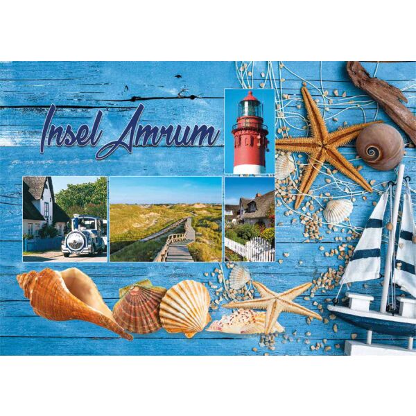 Insel Amrum Postkarte Ansichtskarte Muscheln Seesterne