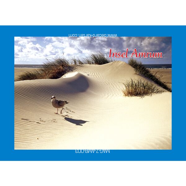 Insel Amrum Kühlschrankmagnete Möwe Strand