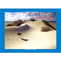 Insel Amrum Kühlschrankmagnete Möwe Strand