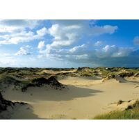 Insel Amrum Tischset Sehenswürdigkeiten Sandweg