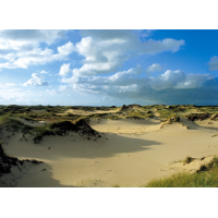 Insel Amrum Tischset Sehenswürdigkeiten Sandweg