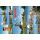 Greetsiel in Ostfriesland Postkarten Anker Aussichtsplattform